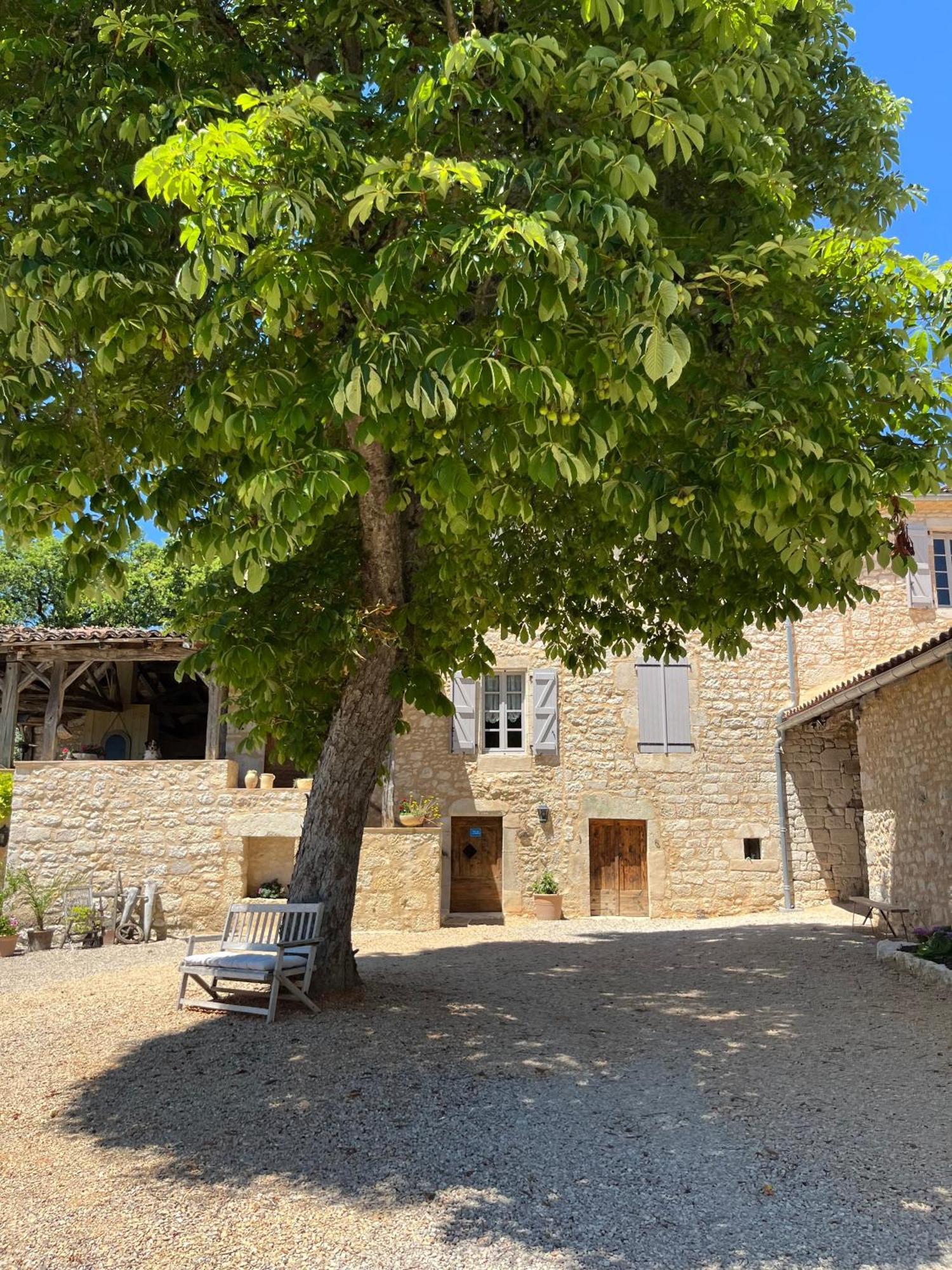 Maison D'Hotes De La Boissiere Andillac Экстерьер фото